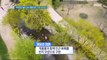 [HOT] The garden where astronauts come to play is popular. What about Suncheon now?,생방송 오늘 아침 240416