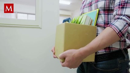 Esto es lo que dice la Ley respecto a los despidos y cómo se debe proceder