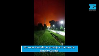 Un voraz incendio se produjo en la zona de Ignacio Correas