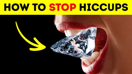 90+ Facts That Will Make You Want to Become a Body Hacker