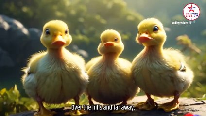 Five Little Ducks  Nursery Rhymes - Baby Songs - Kids Songs from Star Adsense Live TV