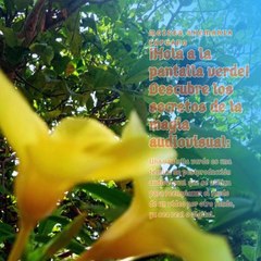 Moises Shemaria Capuano | Los Secretos de la Magia (Parte 1) (Creado por @MoisesShemariaCapuano)