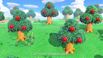 Animal Crossing: New Horizons - Tráiler Actividades Junio