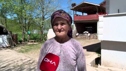 Ayşe leylek, bu yıl eşiyle geldi