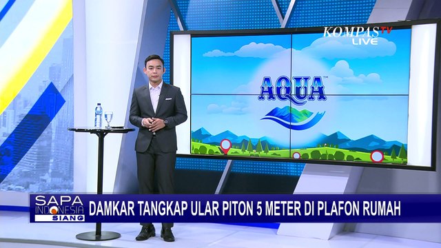 Damkar Kabupaten Pinrang Tangkap Ular Piton 5 Meter di Plafon Rumah Warga