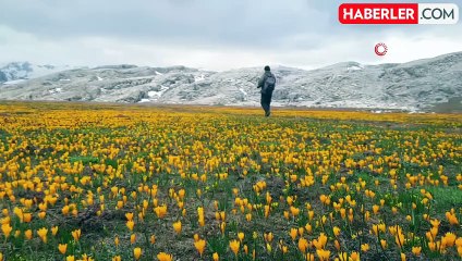 Eğrigöl, tabii güzellikleriyle hayran bırakıyor