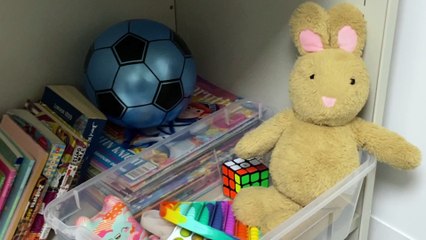 How the police deal with children in custody