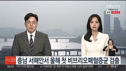 충남 서해안서 올해 첫 비브리오패혈증균 검출…5년 만에 가장 빨라