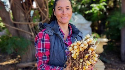 Farmers find success growing in Riverland’s dry climate