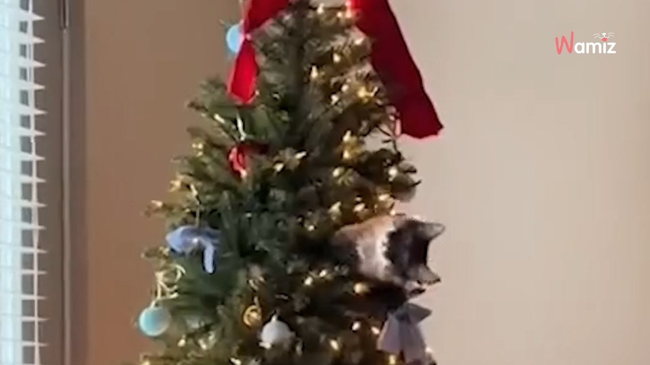 It's tiiiiiiiime