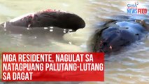 Mga residente, nagulat sa natagpuang palutang-lutang sa dagat | GMA Integrated Newsfeed