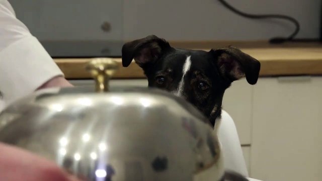 Kurier Lubelski - reklama - karma 3