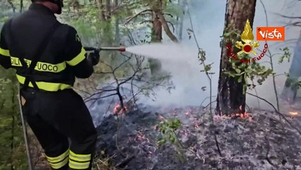 Download Video: Incendio boschivo in provincia di Forl?, l'intervento dei Vigili del Fuoco