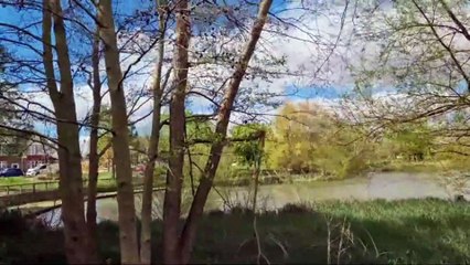 A walk around Baffins Pond, Portsmouth