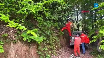 Bahçe temizliği faciası: Kontrolsüz ateş 5 dönüm ormanı kül etti!