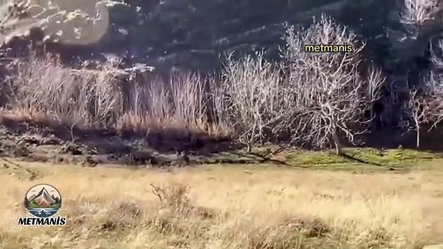 Van Gölü'nde Doğanın Sade Güzelliği Huzur Veren Manzara