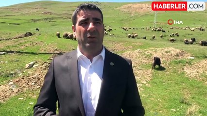 Muş'ta Besiciler Çoban Bulmakta Zorlanıyor