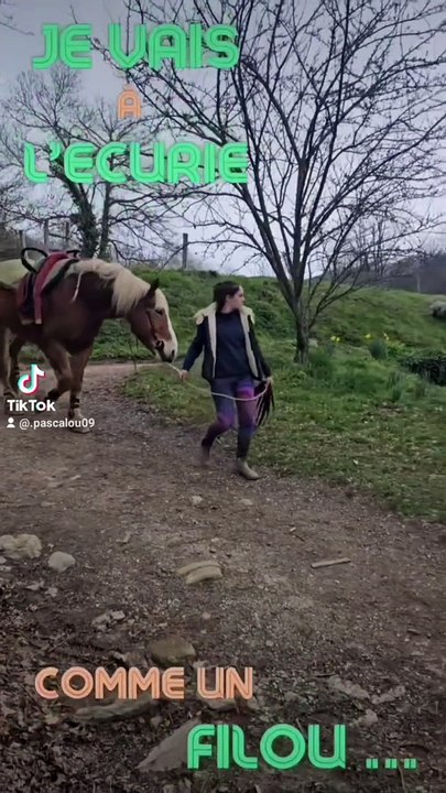 LOL, Filou le Filou...