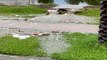 Jumeirah Islands lakes overflow after rains