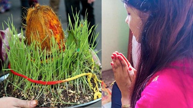 Chaitra Navratri Navami 2024:Kalash Visarjan Ke Baad Jau Ka Kya Kare|नवरात्रि के बाद जौ का क्या करे