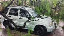 Chevrolet Tracker fica preso em meio a galhos de árvore na Rua Juraci Antônio Capra