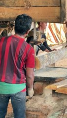 Storage of Wood That Has Been Cut to Avoid Damage