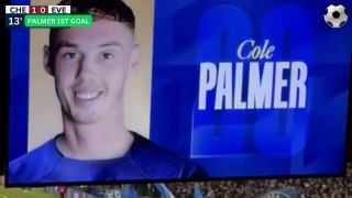 Chelsea vs Everton 6-0 HIGHLIGHTS： Cole Palmer Hat-trick (4 GOALS)!