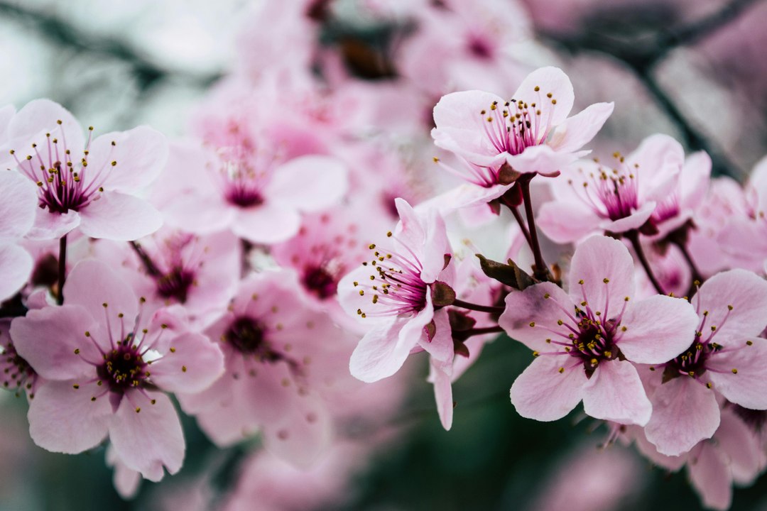 Test release 16042024