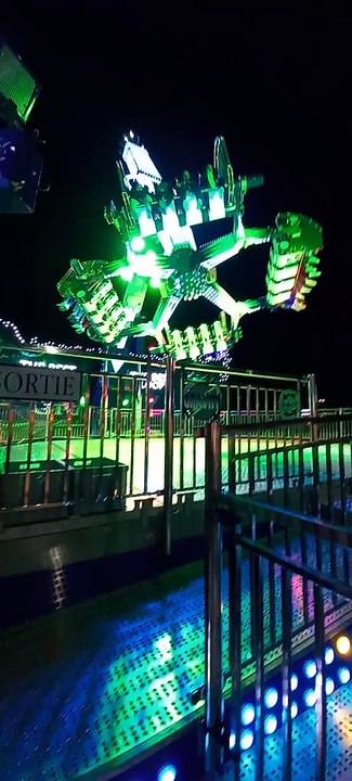 Nombreuses Attractions   Foire des Rameaux de Grenoble  #france #grenoble #foire #divertissement   (13)