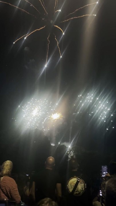 Le Feu d’artifice du 14 juillet Grenoble  Parc Jean-Verlhac Villeneuve #france #grenoble #show (4)