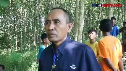 Cerita Sopir yang Mobilnya Tiba-Tiba Oleng dan Terguling di Hutan Jati Blora