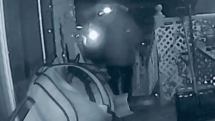 Husband's slippery staircase shuffle serves up a snowy spectacle of silliness