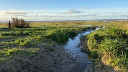Wirral council plans to clear Hoylake beach