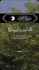 Quran Recitation Surah Al-imran