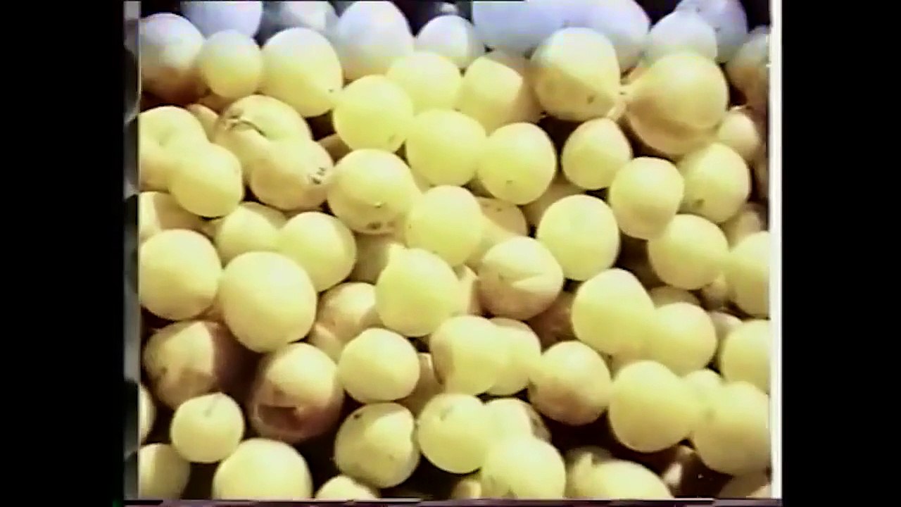 Sarmaş Dolaş - Türk Filmi