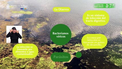 Solo para personas saludables #16, 7º Ciencias Naturales Lección Educativa 2da Edición