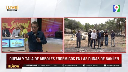 Senador Milcíades Franjul rechaza devastación de las Dunas de Baní | El Show del Mediodía