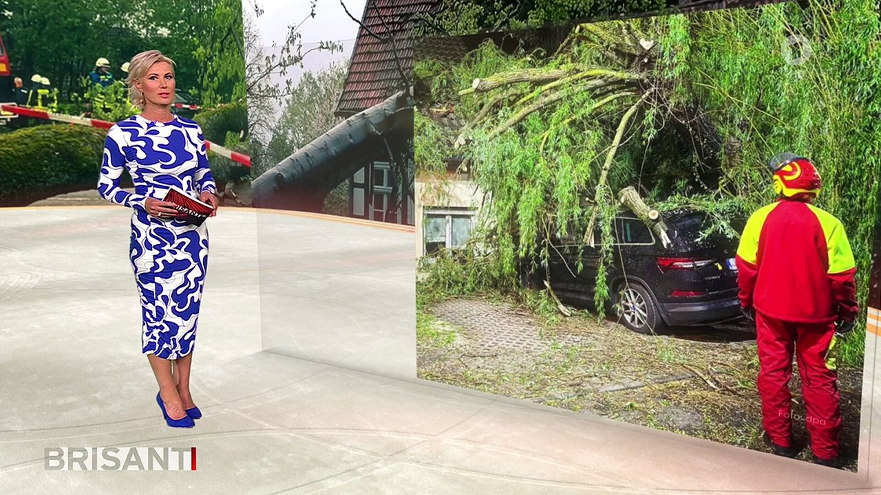 Kamila Senjo Brisant (16/04/2024)