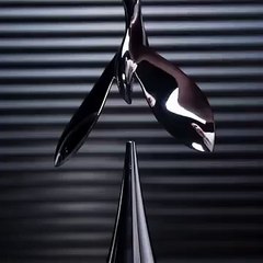 Flying Bird Zinc Alloy Lid Opener