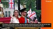 Kate Middleton : Son nouveau projet pour tenter de guérir plus vite séduit le roi Charles III, son mari William inquiet