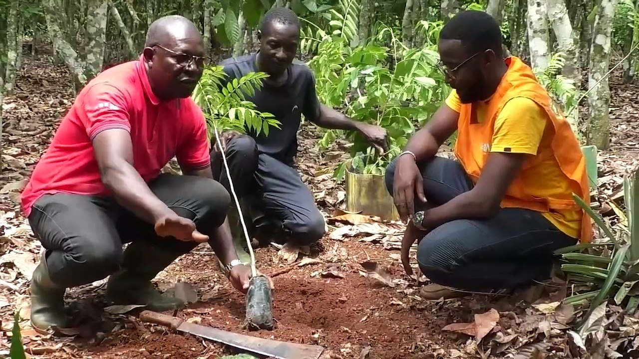 Forum annuel les principaux acteurs de la filière cacao