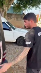 Dálmatas são resgatados em situação de maus-tratos