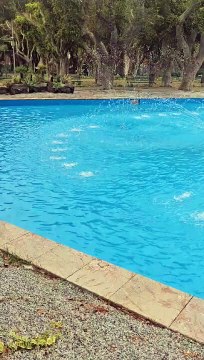 Messina, si “accende” la fontana e a villa Dante cresce l’attesa