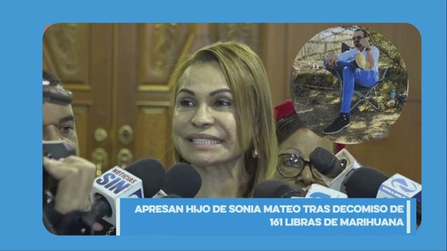 Apresan hijo de exsenadora Mateo tras decomiso de 161 libras de marihuana