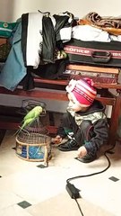 Kid feeding a parrot #viral #trending #foryou #reels #beautiful #love #funny #delicious #fun #love #yummy