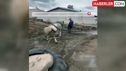 Ata eziyet eden kişilere ceza kesildi