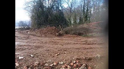 Sugar beet Problems - Part 3 -Episode 4