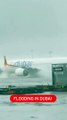 阿联酋发布降雨红色预警 迪拜机场洪水 入境航班暂改道