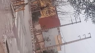 VID_20240209_162825