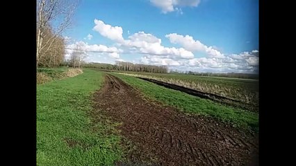 Sugar beet Problems - Part 3 - Episode 5